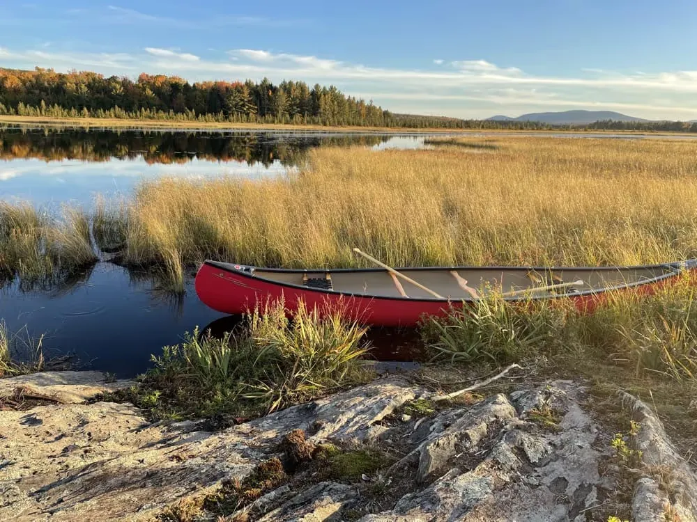 Red canoe resting in golden marsh grass at the edge of a calm lake